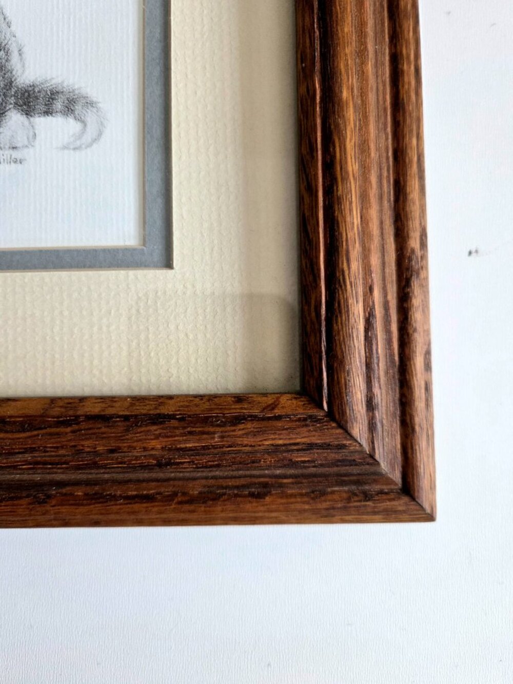 Signed by Virginia Miller Framed Art. Playing Kittens Portrait. - Picture 4 of 5
